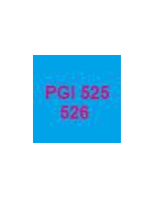 Cartouches vides et puces autoreset pour cartouches PGI525 et 526